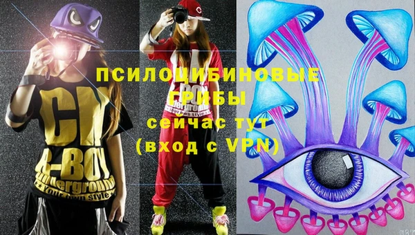 СК Лиски