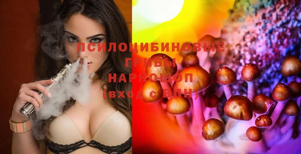 СК Лиски