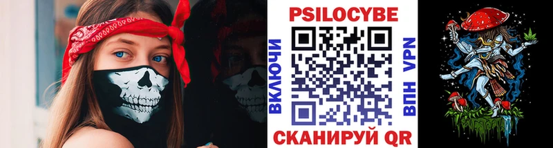 купить закладку  Екатеринбург  Галлюциногенные грибы Magic Shrooms 